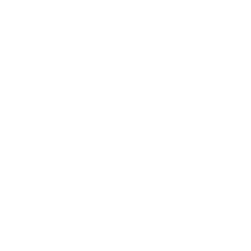 Brand Icons (13)