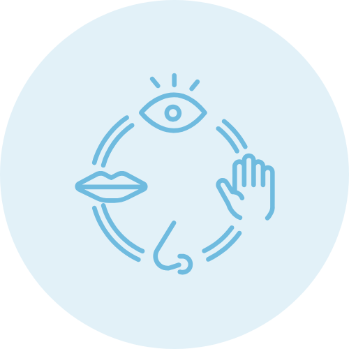 Brand Icons (19)